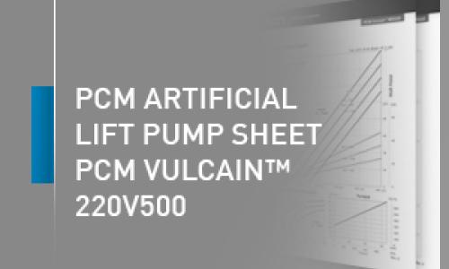 PCM artificial lift pump sheet - 220V500