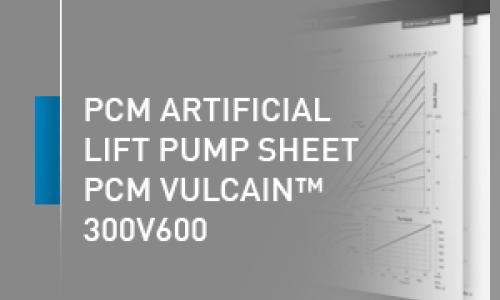 PCM artificial lift pump sheet - 300V600