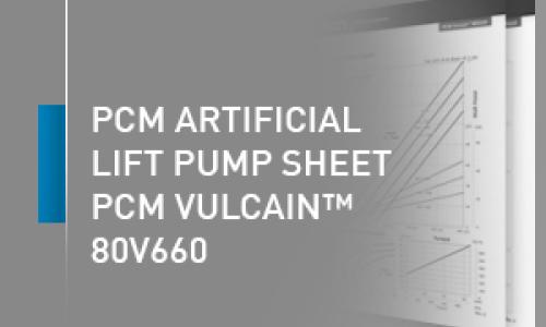 PCM artificial lift pump sheet - 80V660