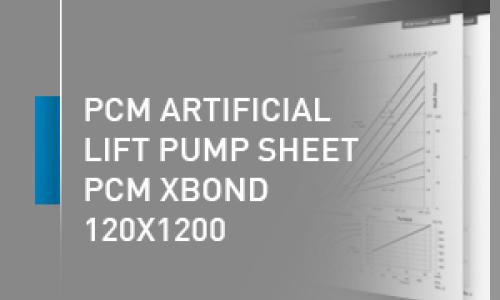 Листовка модель насоса PCM - 120X1200
