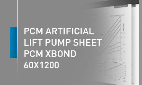 Листовка модель насоса PCM - 60X1200